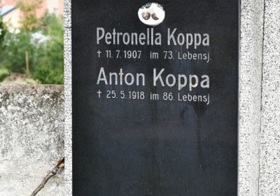 Blšany, Omnium, 2020