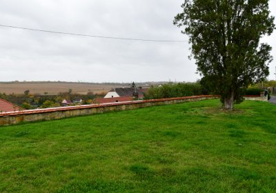 Černčice, Omnium, 2020