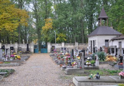 Černčice ul. Tylova, Omnium, 2020