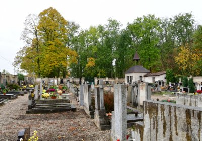 Černčice ul. Tylova, Omnium, 2020
