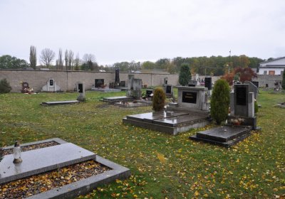 Černčice ul. Husova, Omnium, 2020