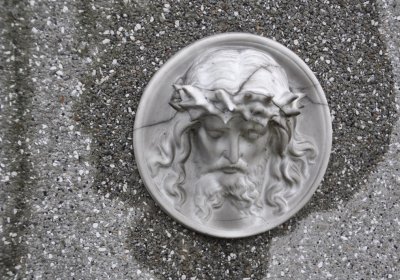 Černčice ul. Husova, Omnium, 2020