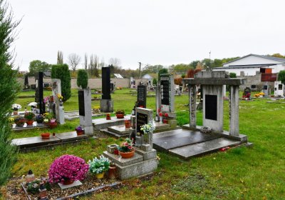 Černčice ul. Husova, Omnium, 2020