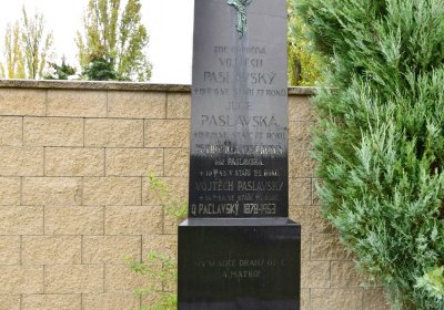 Černčice ul. Husova, Omnium, 2020