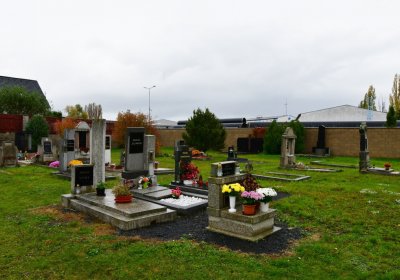 Černčice ul. Husova, Omnium, 2020