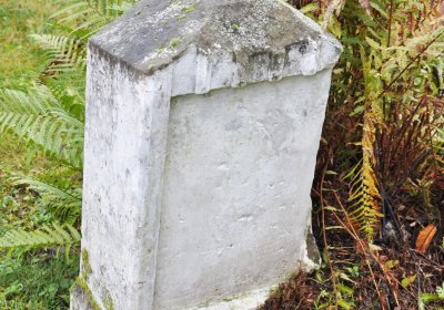 Deštnice, Omnium, 2020