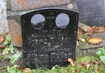 Deštnice, Omnium, 2020