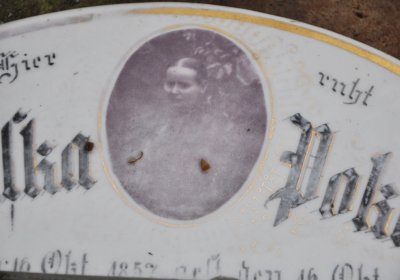 Deštnice, Omnium, 2020