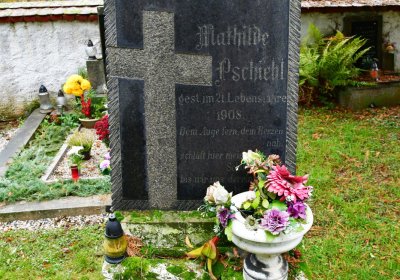 Deštnice, Omnium, 2020