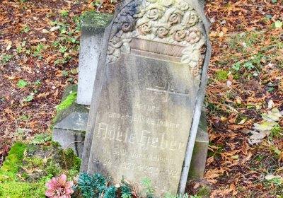 Deštnice, Omnium, 2020