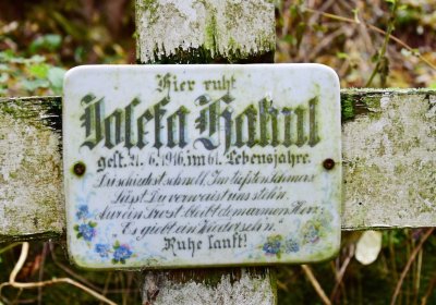 Deštnice, Omnium, 2020