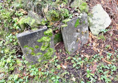 Deštnice, Omnium, 2020