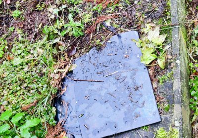 Deštnice, Omnium, 2020