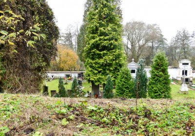 Deštnice, Omnium, 2020