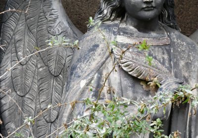 Libořice, Omnium, 2020