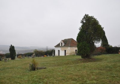 Libořice, Omnium, 2020