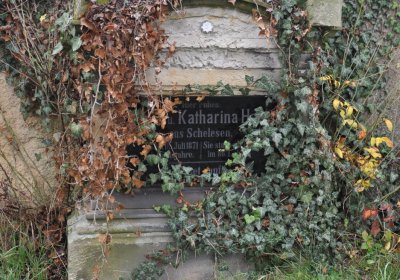 Libořice, Omnium, 2020