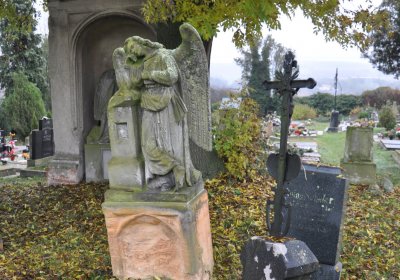 Libořice, Omnium, 2020