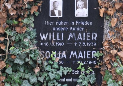 Libořice, Omnium, 2020