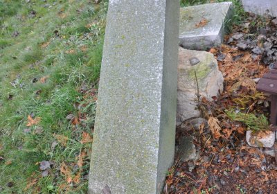 Libořice, Omnium, 2020