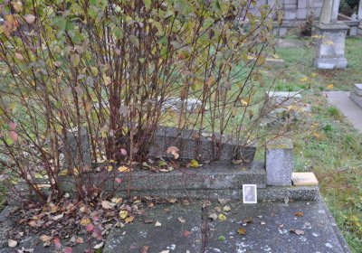 Libořice, Omnium, 2020