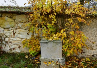 Libořice, Omnium, 2020