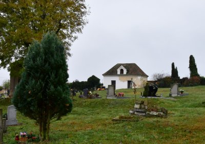 Libořice, Omnium, 2020