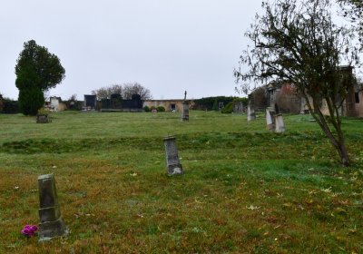 Libořice, Omnium, 2020