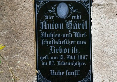 Libořice, Omnium, 2020