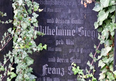 Libořice, Omnium, 2020