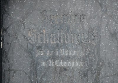 Libořice, Omnium, 2020