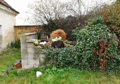 Libořice, Omnium, 2020