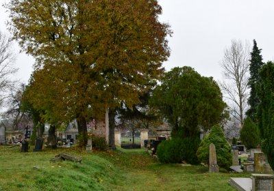 Libořice, Omnium, 2020