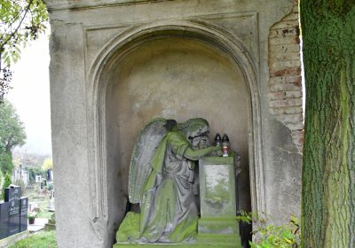 Libořice, Omnium, 2020