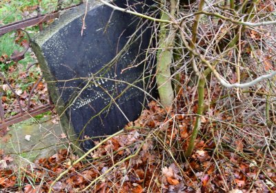 Libořice, Omnium, 2020