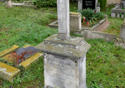 Libořice, Omnium, 2020