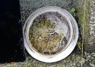 Libořice, Omnium, 2020