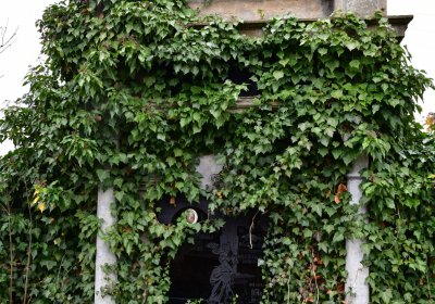 Libořice, Omnium, 2020