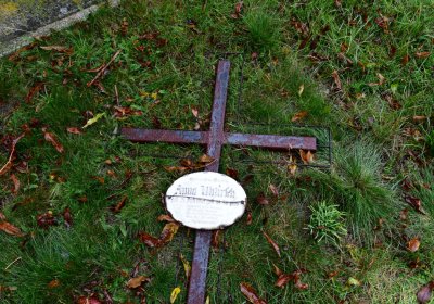 Libořice, Omnium, 2020