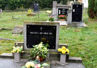 Libořice, Omnium, 2020