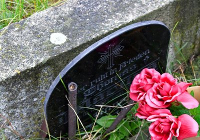 Libořice, Omnium, 2020