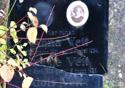 Libořice, Omnium, 2020