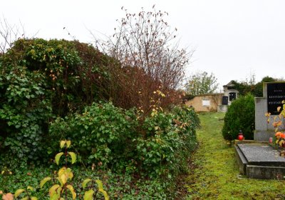 Libořice, Omnium, 2020