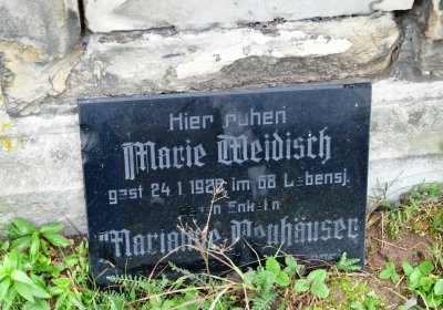 Libořice, Omnium, 2020