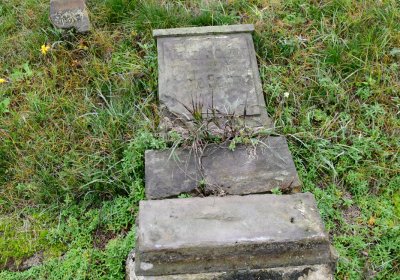 Libořice, Omnium, 2020