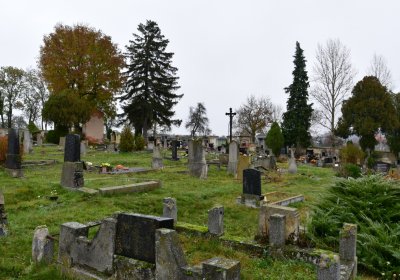 Libořice, Omnium, 2020