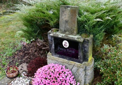 Libořice, Omnium, 2020