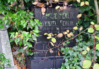 Libořice, Omnium, 2020