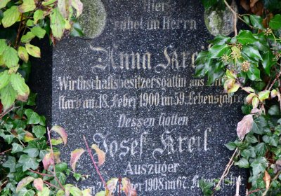 Libořice, Omnium, 2020