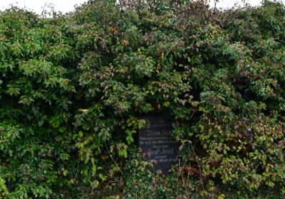 Libořice, Omnium, 2020